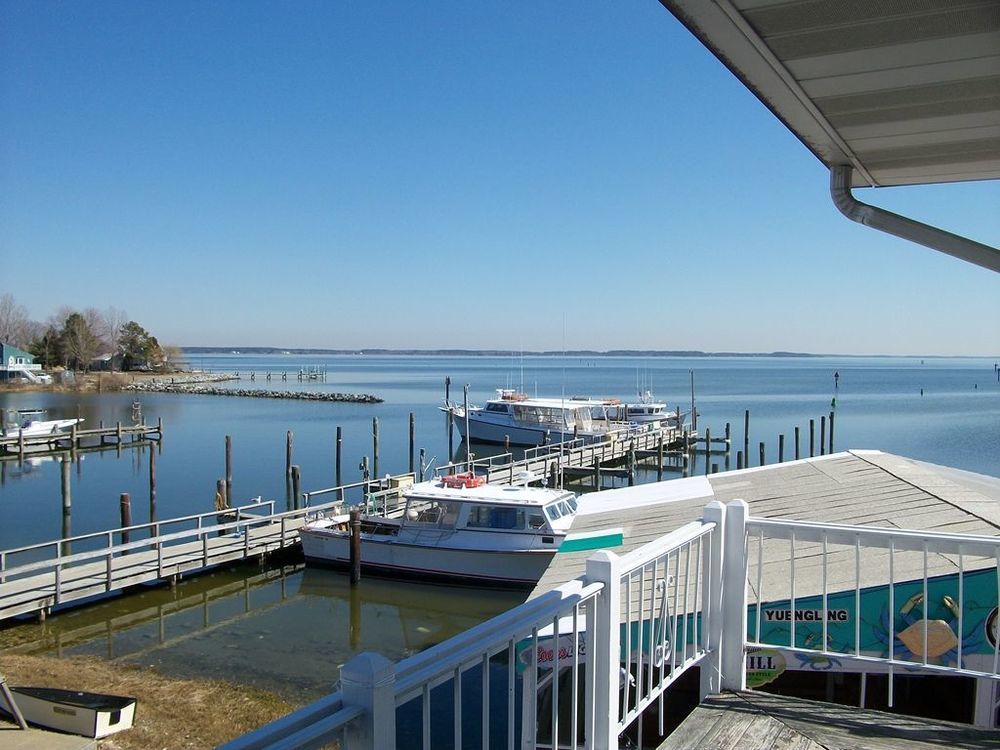 Chesapeake House Tilghman Island Dış mekan fotoğraf