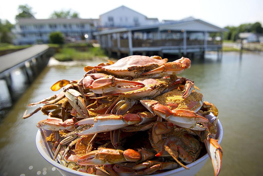 Chesapeake House Tilghman Island Dış mekan fotoğraf